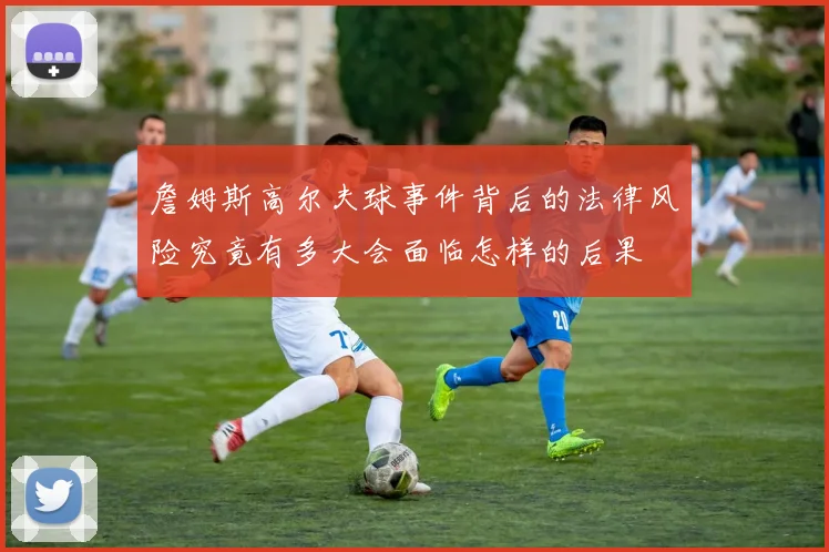 詹姆斯高尔夫球事件背后的法律风险究竟有多大会面临怎样的后果