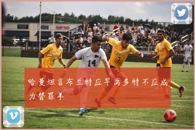 哈曼坦言布兰特应早离多特不应成为替罪羊