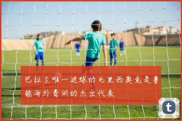 巴拉圭唯一进球的毛里西奥竟是鲁能海外青训的杰出代表