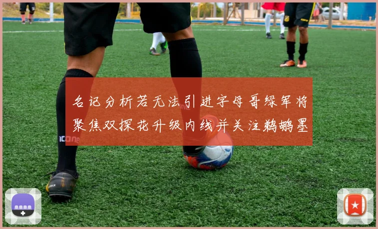 名记分析若无法引进字母哥绿军将聚焦双探花升级内线并关注鹈鹕墨菲